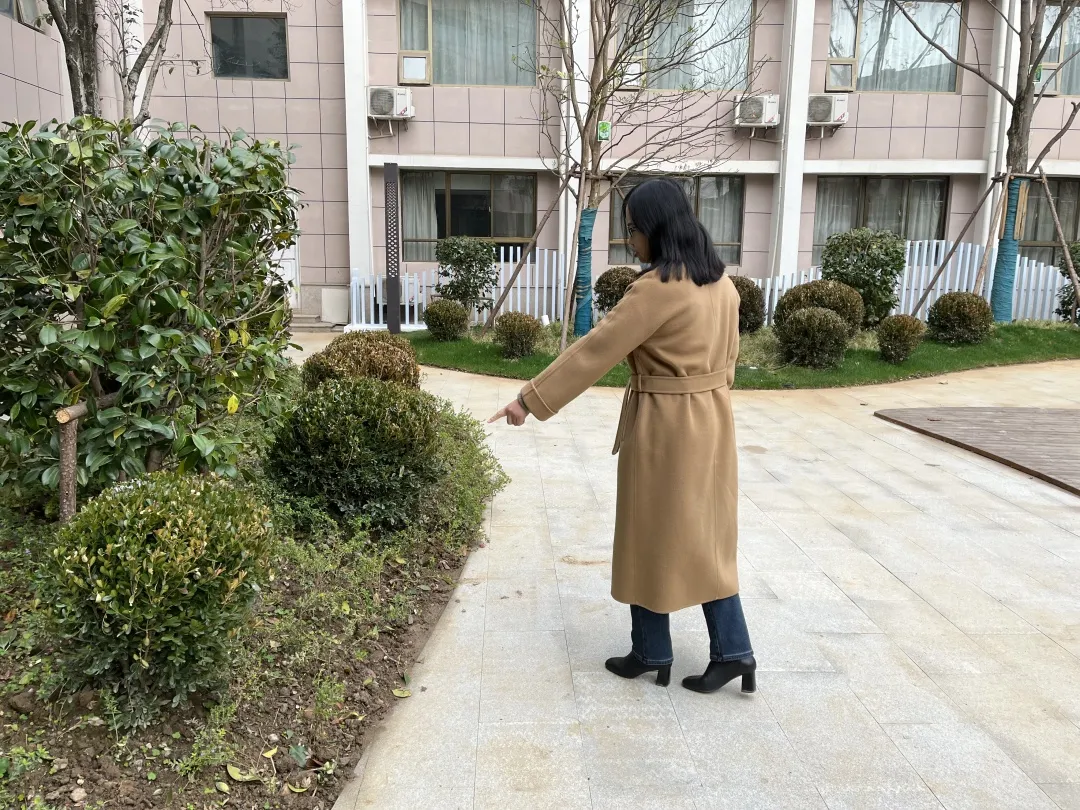 乘风破浪开新局——城投集团党委副书记吴艳霞赴莲花湖酒店调研指导工作 乘风破浪开新局——城投集团党委副书记吴艳霞赴莲花湖酒店调研指导工作